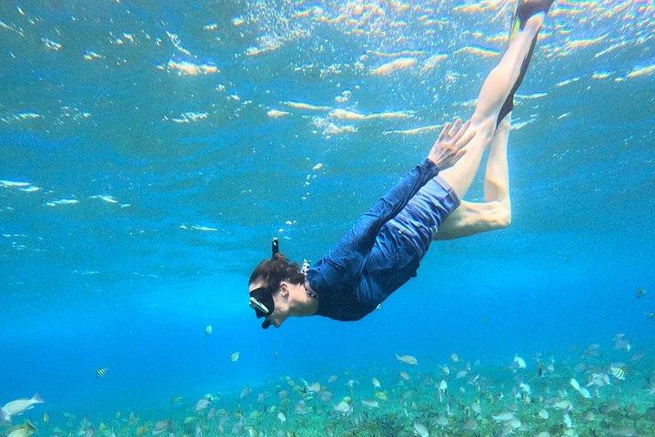 高級カタマランで4時間のコズメルタートルサンクチュアリ体験