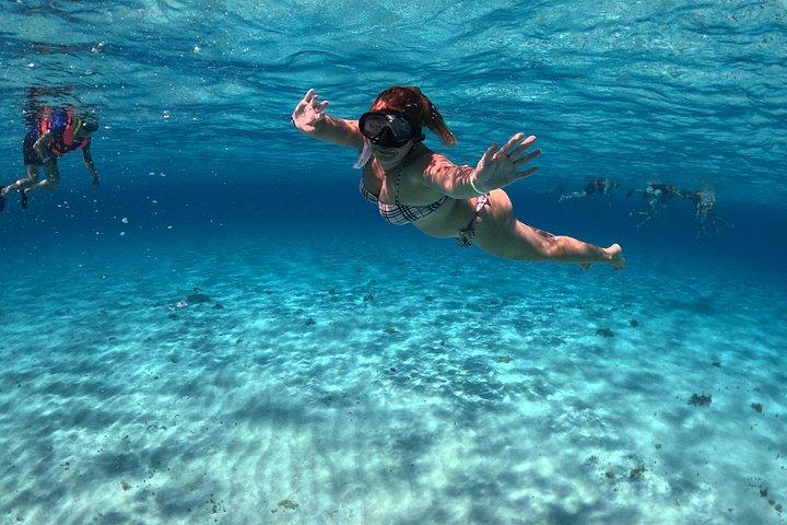 高級カタマランで4時間のコズメルタートルサンクチュアリ体験