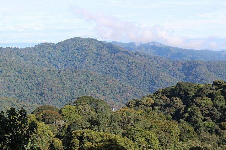 4-Day Rwanda Gorilla trek, Chimp & Lake Kivu exploration