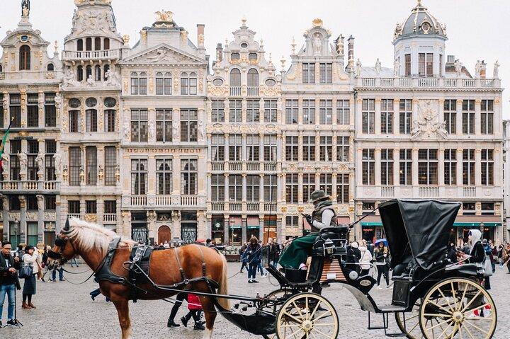 Brussels Private & Personalized Full-Day Tour with a Local Guide