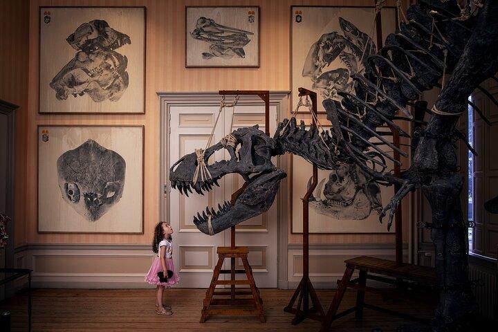 アムステルダム美術館チケット
