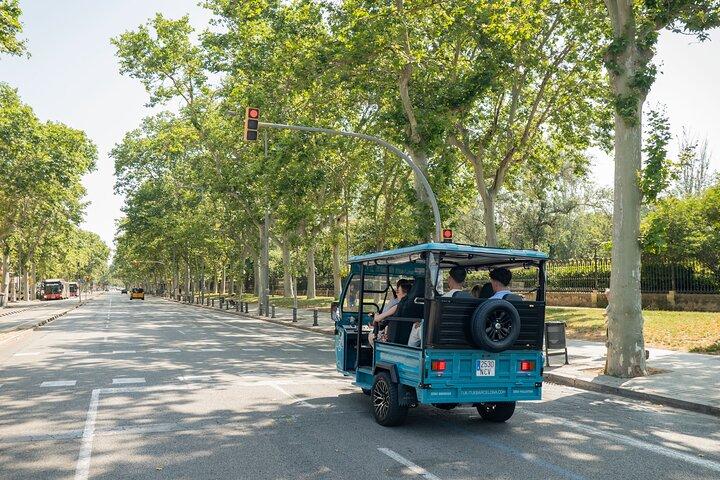 Barcelona Essentials Private Tuk-Tuk tur.