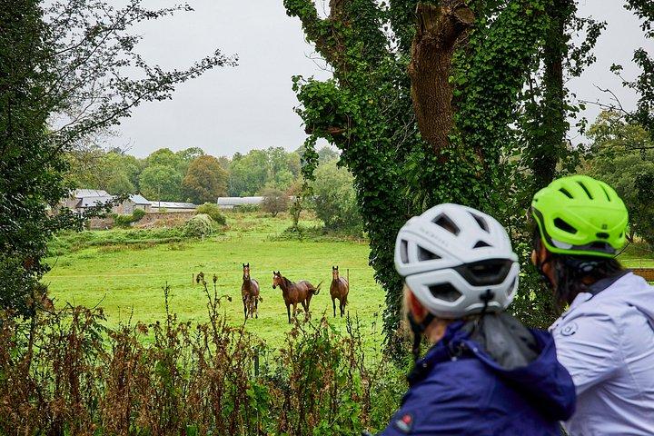 Verken Midleton Youghal Greenway per fiets