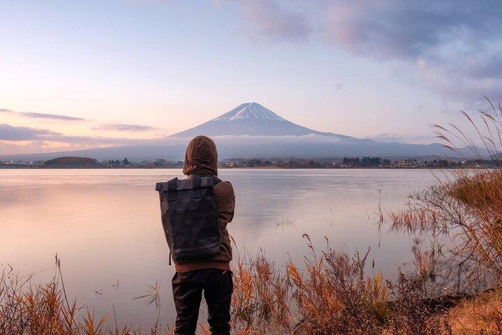 東京発富士山と伊豆ディープビュー2日ツアー