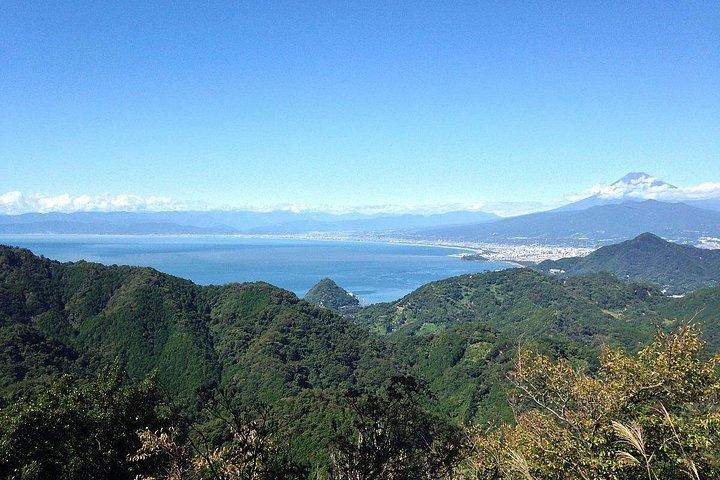 東京発富士山と伊豆ディープビュー2日ツアー