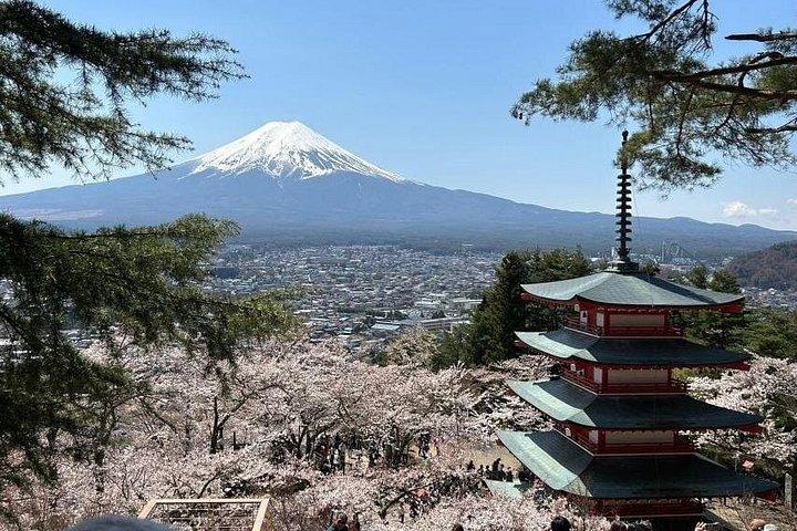 東京発富士山と伊豆ディープビュー2日ツアー