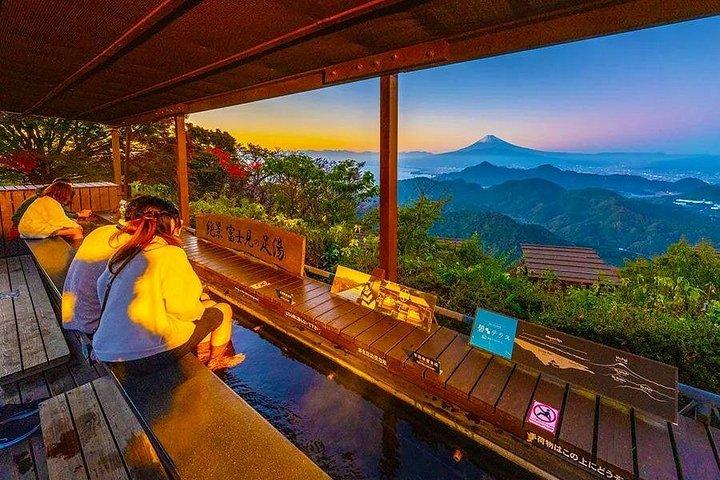 東京発富士山と伊豆ディープビュー2日ツアー