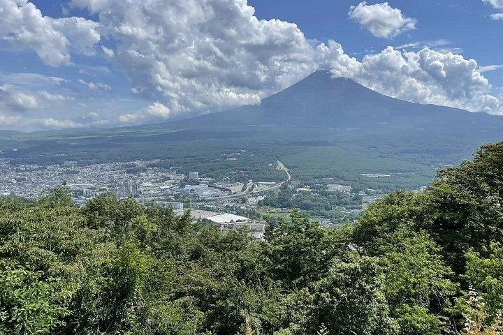 東京発富士山と伊豆ディープビュー2日ツアー
