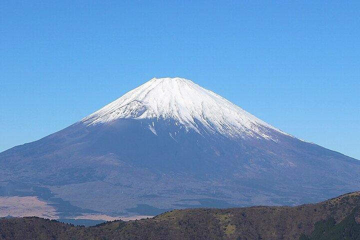 東京発富士山と伊豆ディープビュー2日ツアー