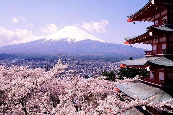 Excursión de 2 días al Monte Fuji e Izu desde Tokio