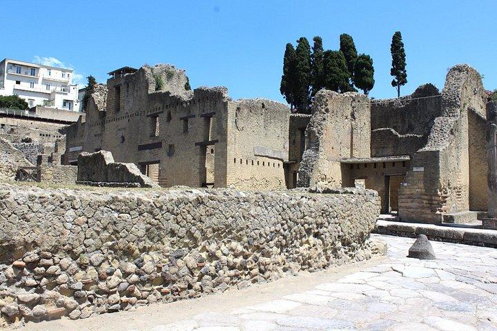 Explore Pompeii & Herculaneum on a Private Guided Tour
