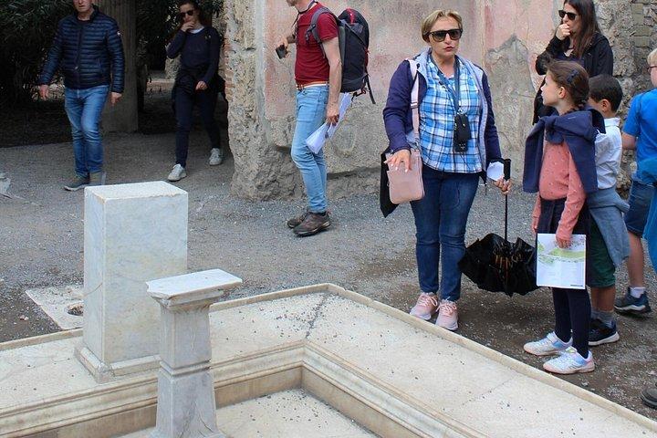 Private Pompeii Tour With Guide and Transfer Included