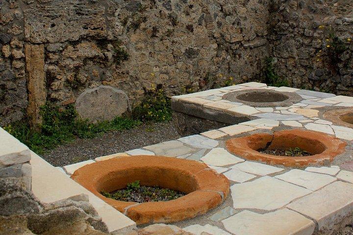 Private Pompeii Tour With Guide and Transfer Included