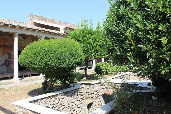 Private Pompeii Tour With Guide and Transfer Included