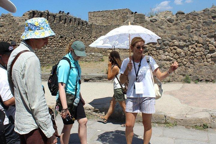 Private Pompeii Tour With Guide and Transfer Included
