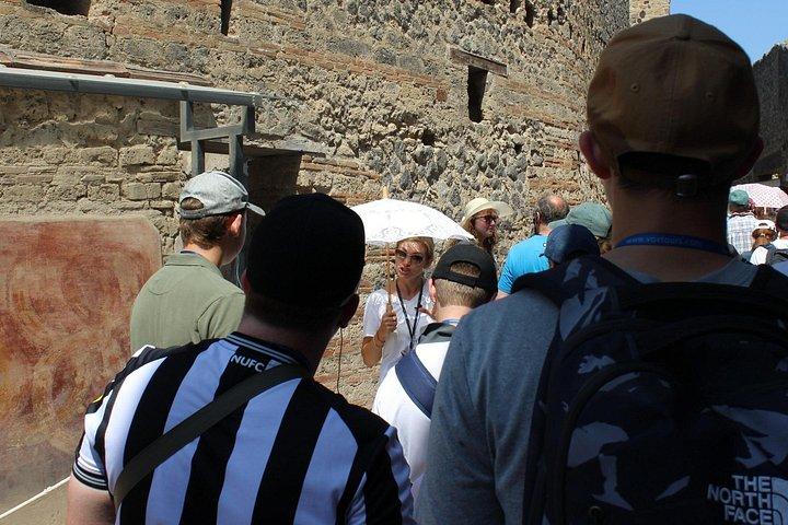 Private Pompeii Tour With Guide and Transfer Included