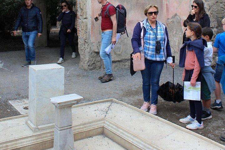 Pompeii Tour from Naples: Skip-the-Line Entry + Guided Visit