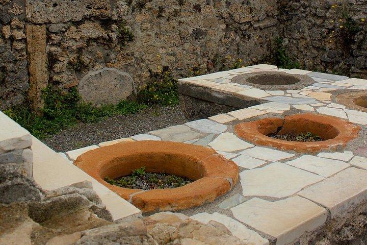 Pompeii Tour from Naples: Skip-the-Line Entry + Guided Visit