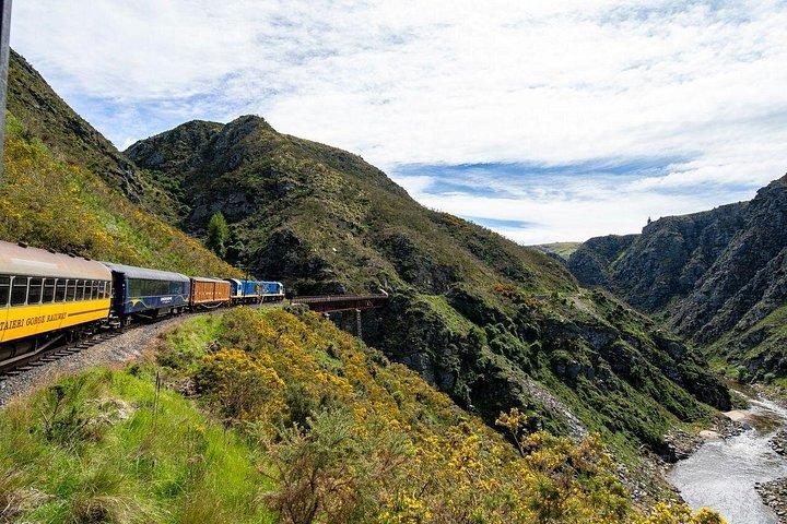 Dunedin Shore Excursion: Taieri Gorge Railway & City Sightseeing