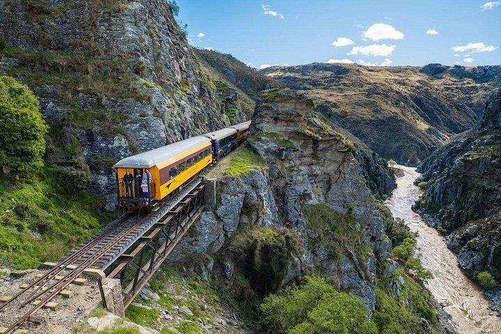 Dunedin Shore Excursion: Taieri Gorge Railway & City Sightseeing