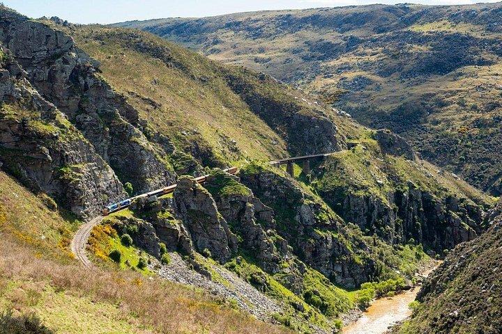 Dunedin Shore Excursion: Taieri Gorge Railway & City Sightseeing