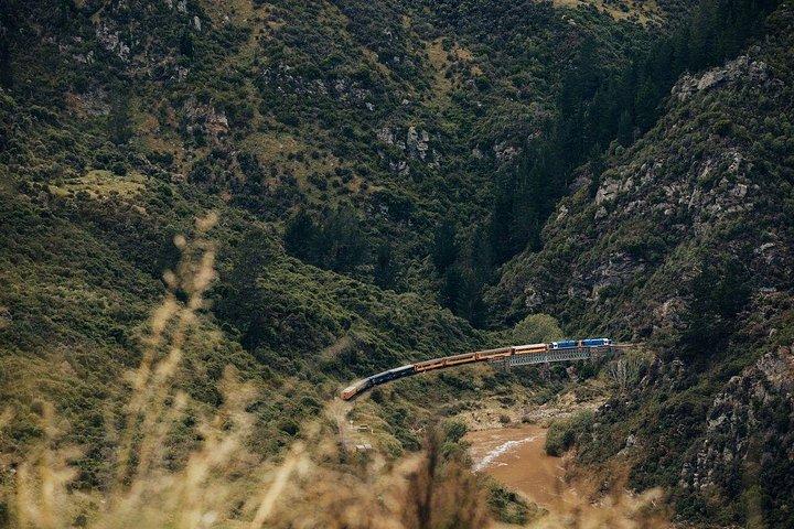 Dunedin Shore Excursion: Taieri Gorge Railway & City Sightseeing