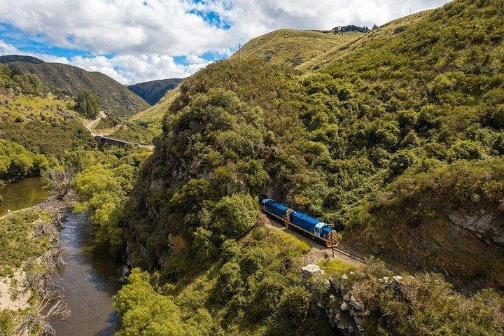 Dunedin Shore Excursion: Taieri Gorge Railway & City Sightseeing
