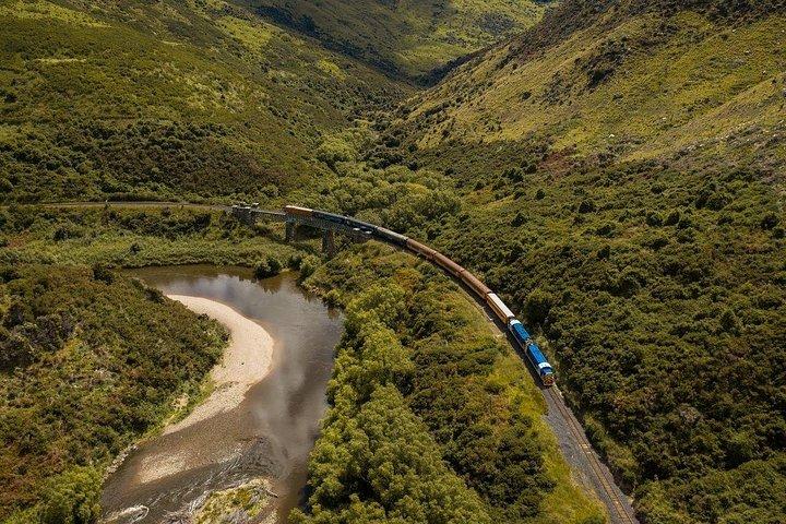Dunedin Shore Excursion: Taieri Gorge Railway & City Sightseeing