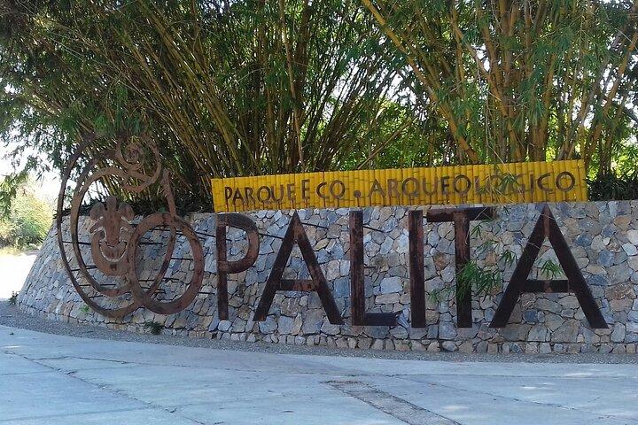 Eco Adventure in the Archaeological Area of Copalita
