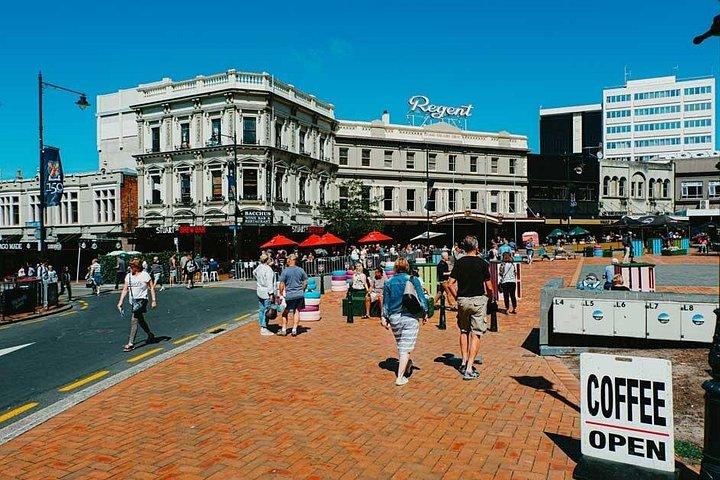 Dunedin Shore Excursion - Sightseeing, Larnach Castle, Chinese Garden & Museum