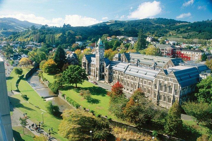 Dunedin Shore Excursion - Sightseeing, Larnach Castle, Chinese Garden & Museum