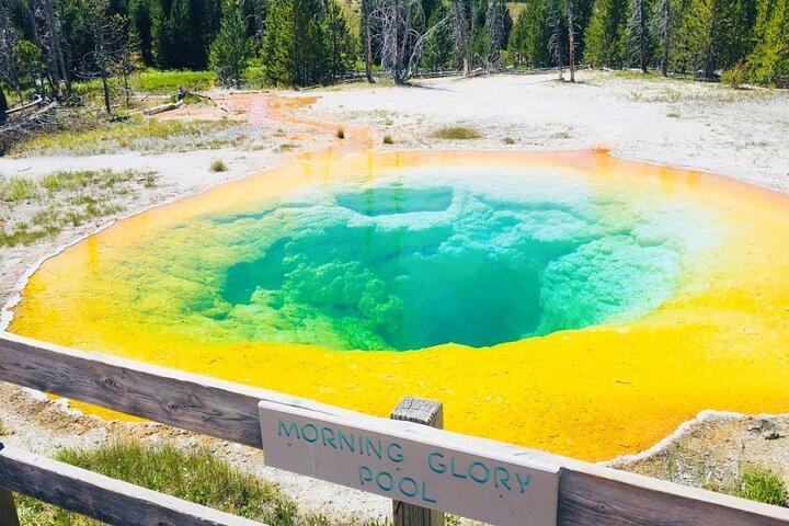 Salt Lake City till Yellowstone och Mt Rushmore 4 dagars tur