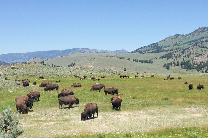 Los Angeles to Yellowstone 5 - Tour de um dia, terminando em Salt Lake City