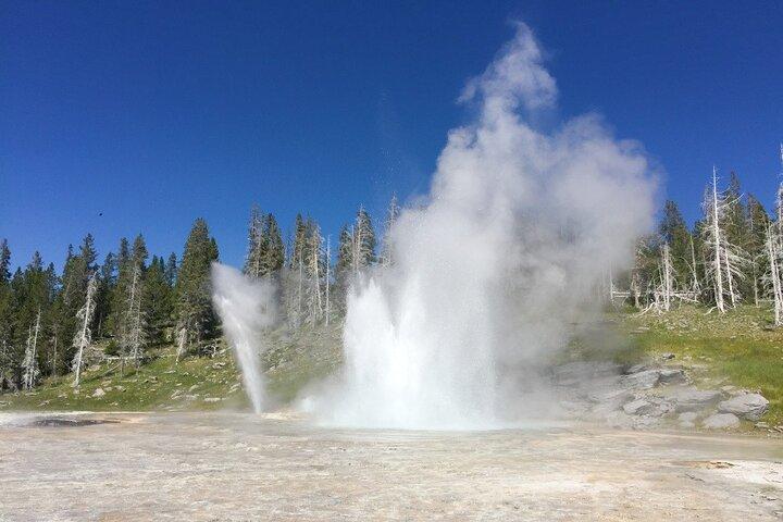 Salt Lake City till Yellowstone och Mt Rushmore 4 dagars tur