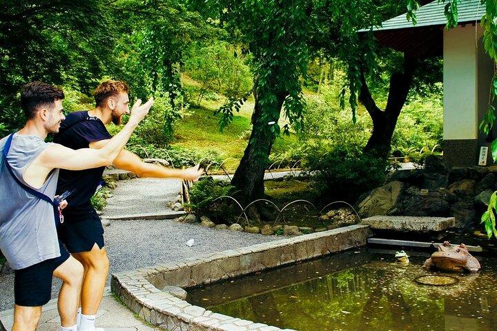 京都： 嵐山竹林と猿、抹茶＆お寺巡り
