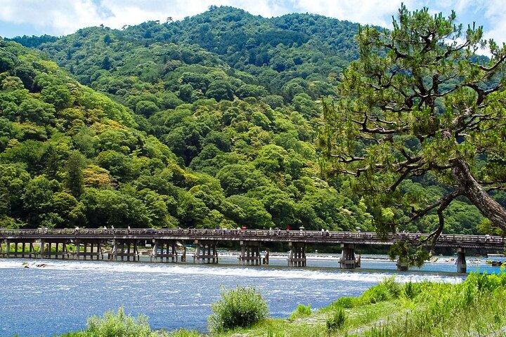 京都： 嵐山竹林と猿、抹茶＆お寺巡り