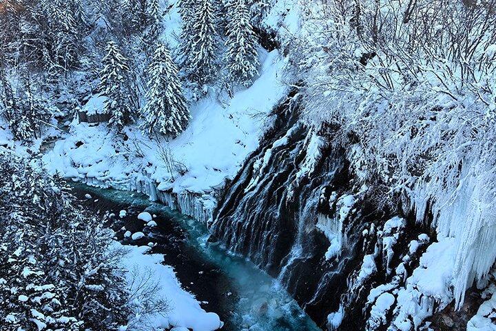 Asahiyama Zoo, Biei träd, Shirohige Falls och Blue Pond Day Tour