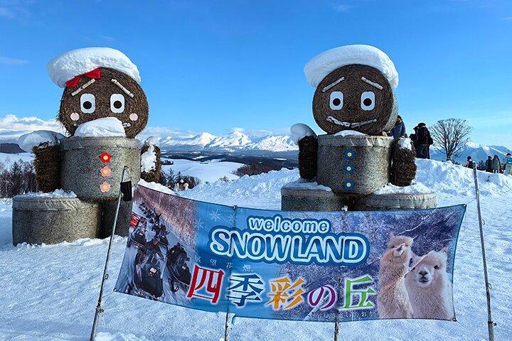 Asahiyama Zoo, Biei träd, Shirohige Falls och Blue Pond Day Tour