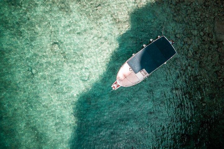 Baie selvagge dell'isola di Krk: Un tour privato in barca di mezza giornata