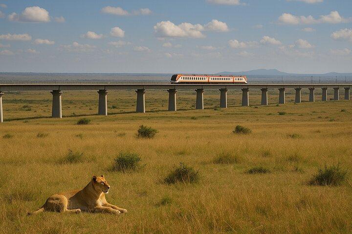 Nairobi Nationalpark - Tagestour