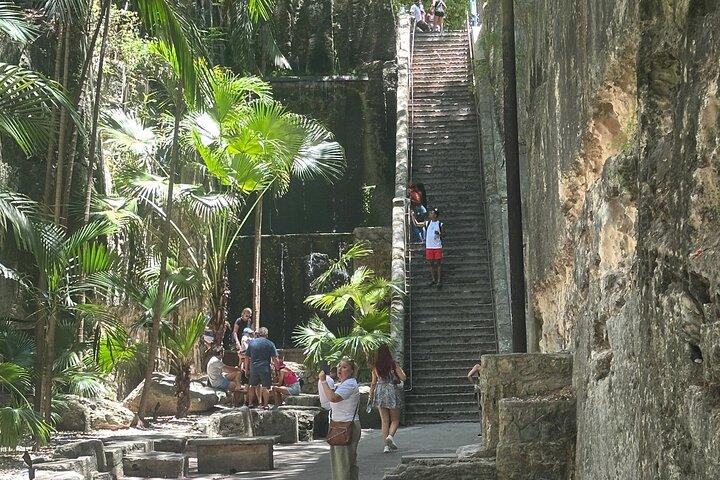 Bahamas Adventure : Numéro 1 des locations de scooters et de côte à côte