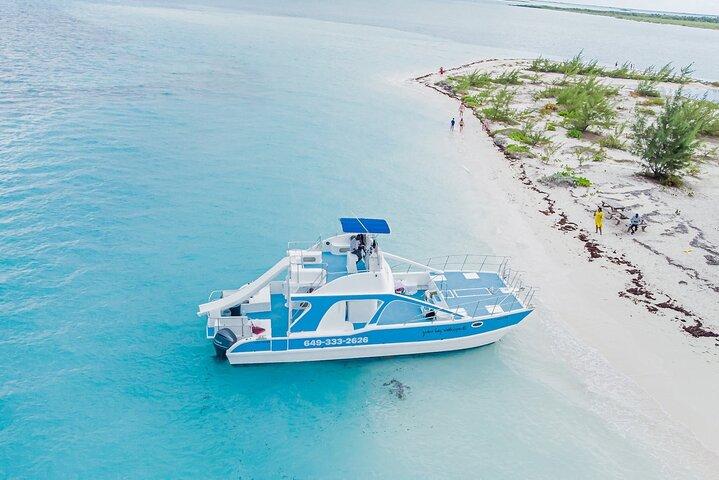 Viaggio in catamarano sull'Arca di Noè
