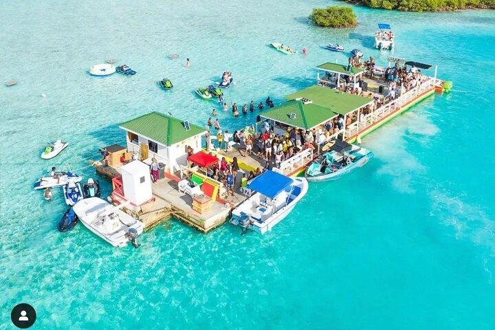 Viaggio in catamarano sull'Arca di Noè