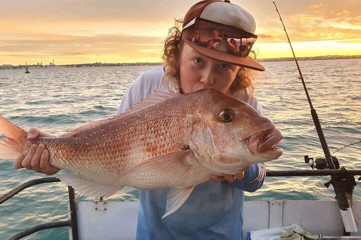 Heldags fisketur på Auckland Waitemata Harbour