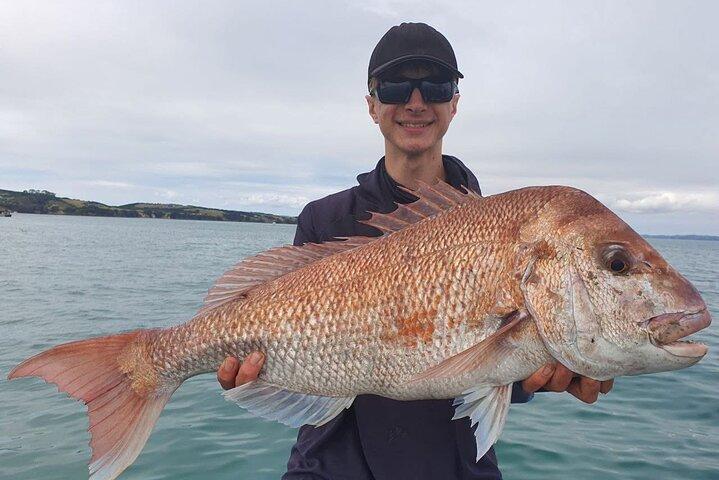 Heldags fisketur på Auckland Waitemata Harbour
