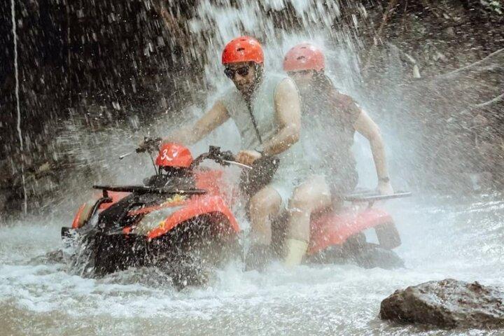 Avventura in quad con Ubud Monkey Forest e Bali Swing
