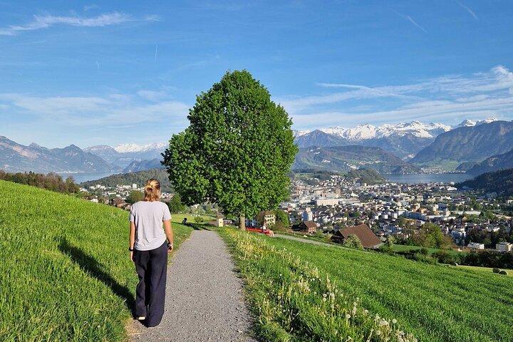 Fattorie di Lucerna e degustazione di formaggi