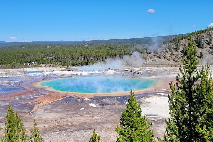 Begeleide Yellowstone Tour vanuit Big Sky en West Yellowstone
