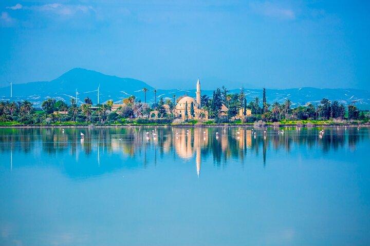 Larnaca flygplats pickup med en timme kustnära sightseeingtur