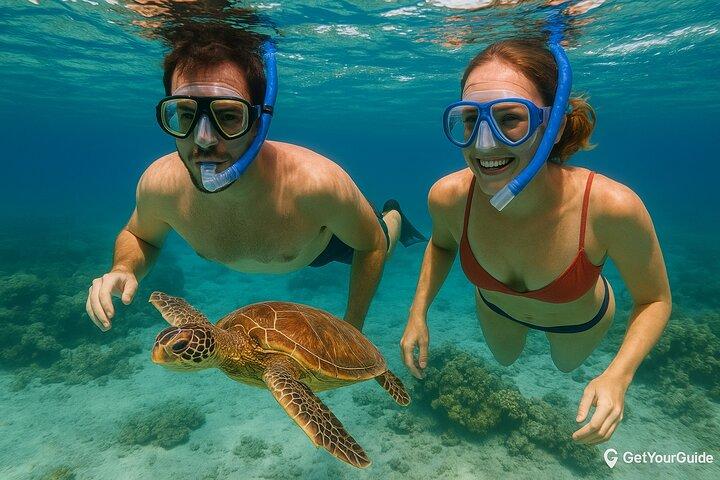 Tour privato di Zanzibar con delfini e spiaggia al tramonto